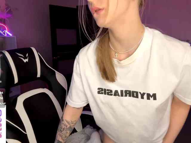 VersieBruegman webcam