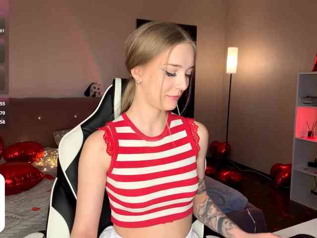 VersieBruegman webcam