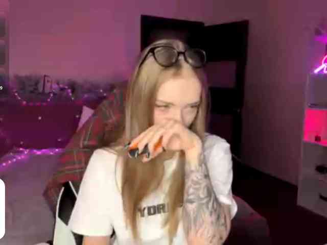 VersieBruegman webcam