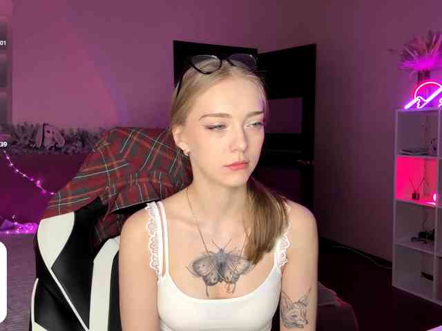 VersieBruegman webcam