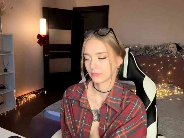 VersieBruegman webcam