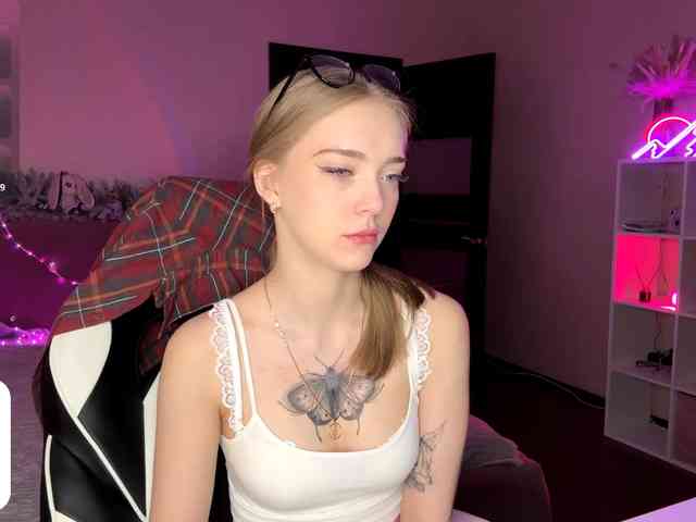 VersieBruegman webcam