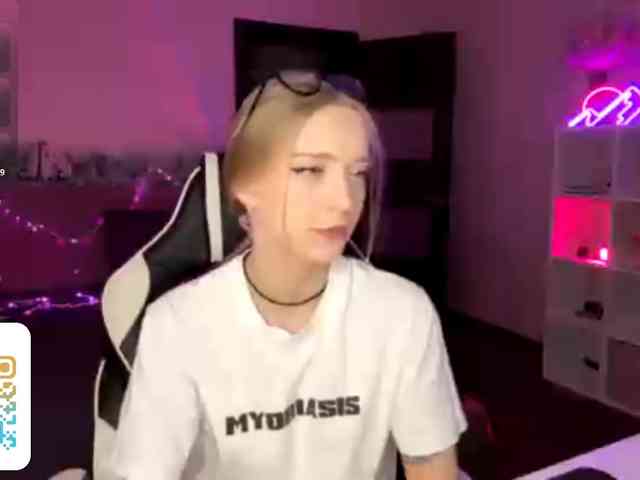 VersieBruegman webcam