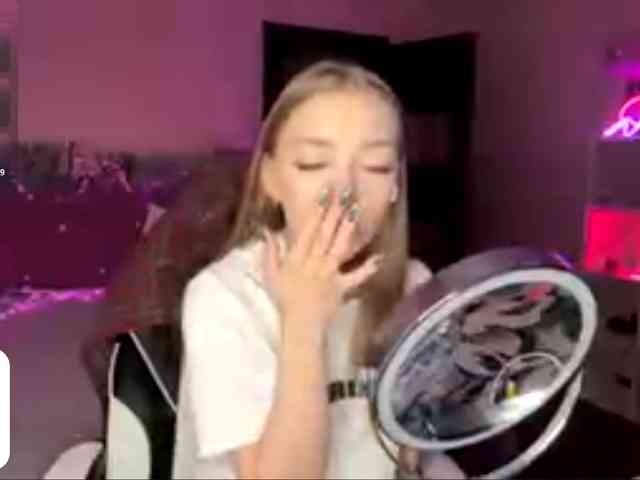 VersieBruegman webcam