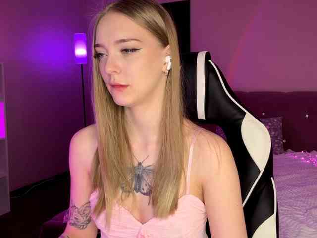 VersieBruegman webcam