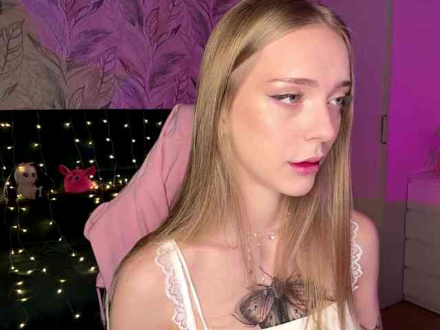 VersieBruegman webcam