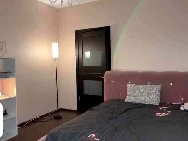 VersieBruegman webcam