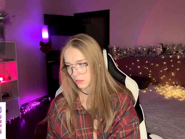 VersieBruegman webcam