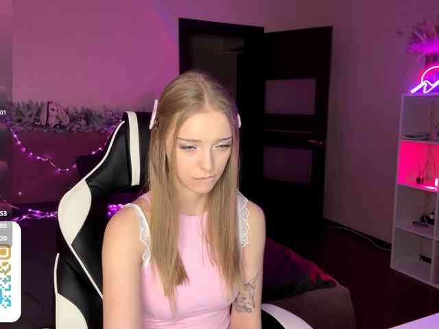 VersieBruegman webcam