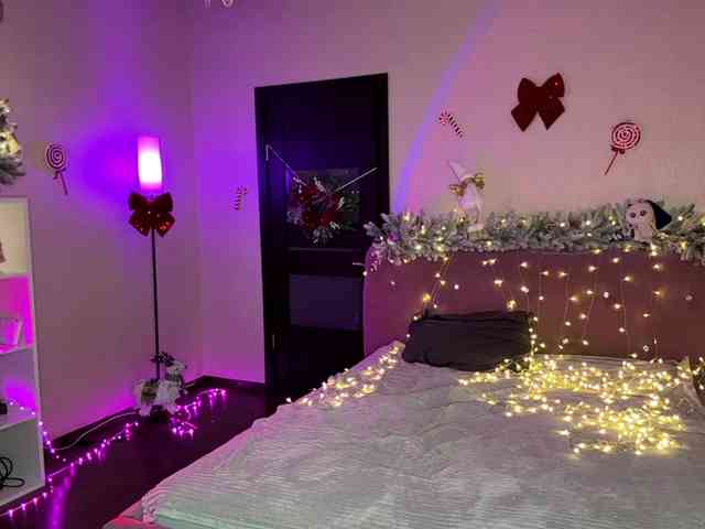 VersieBruegman webcam