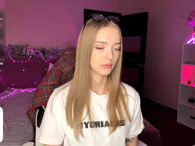 VersieBruegman webcam