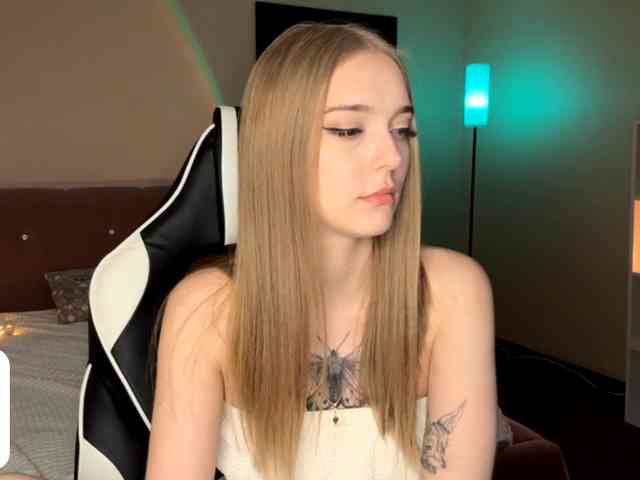 VersieBruegman webcam