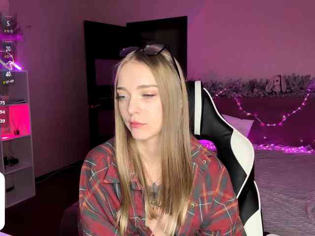 VersieBruegman webcam