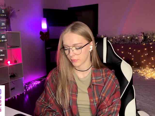 VersieBruegman webcam