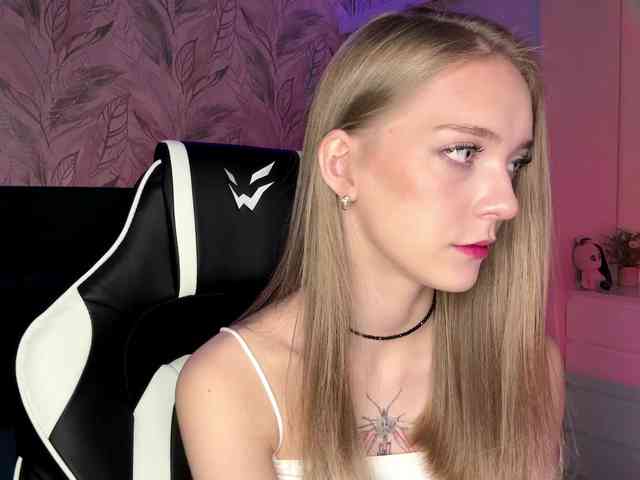 VersieBruegman webcam