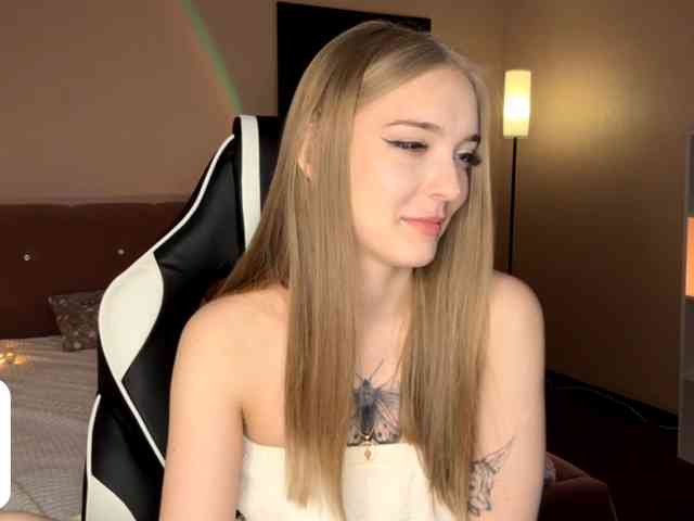 VersieBruegman webcam