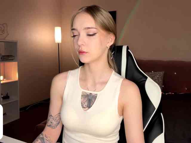 VersieBruegman webcam