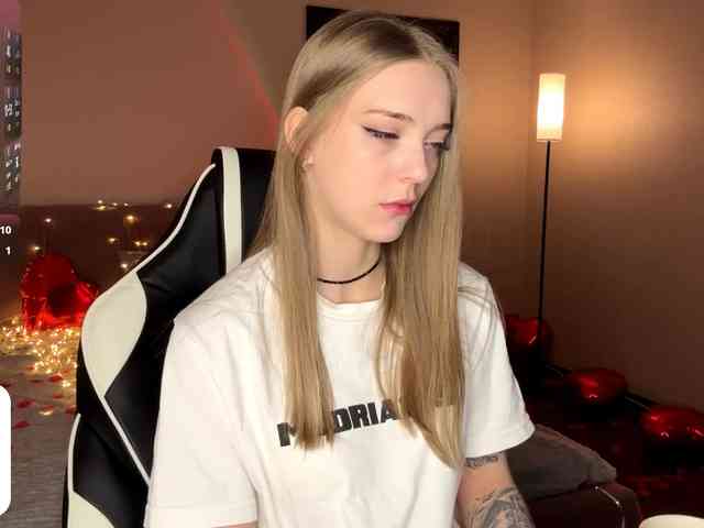 VersieBruegman webcam