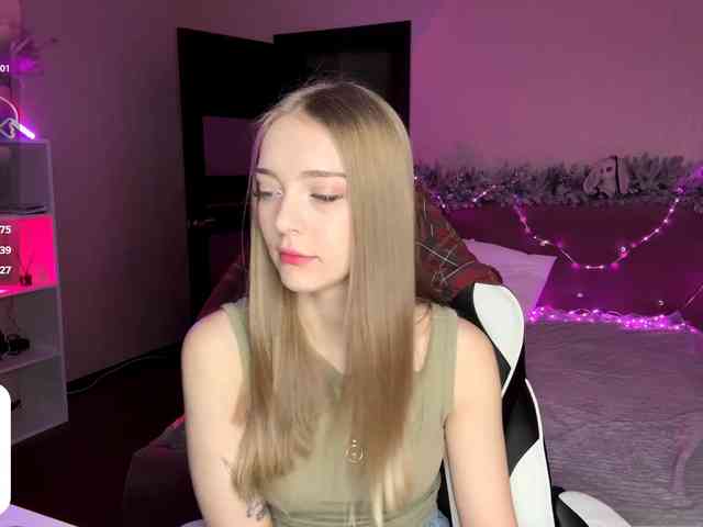 VersieBruegman webcam