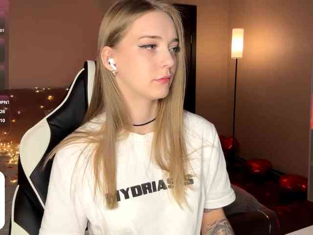 VersieBruegman webcam