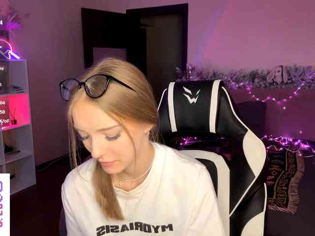 VersieBruegman webcam