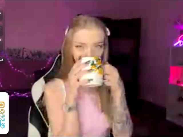 VersieBruegman webcam