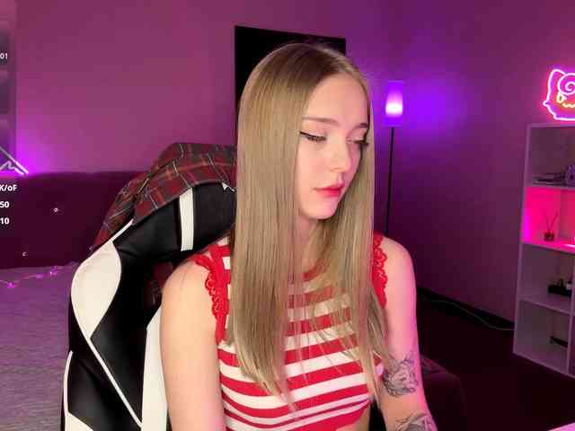 VersieBruegman webcam