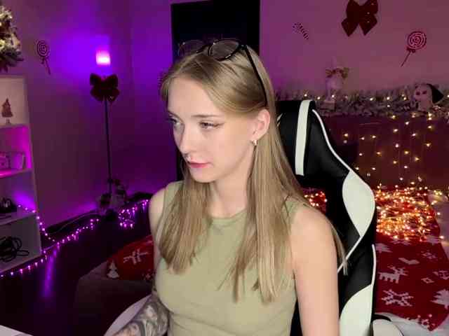 VersieBruegman webcam