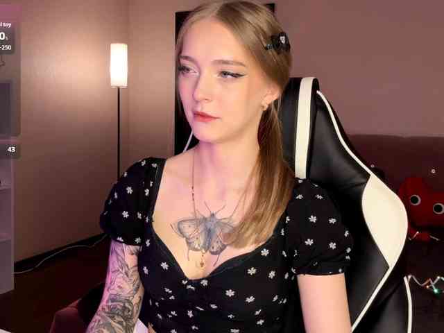 VersieBruegman webcam