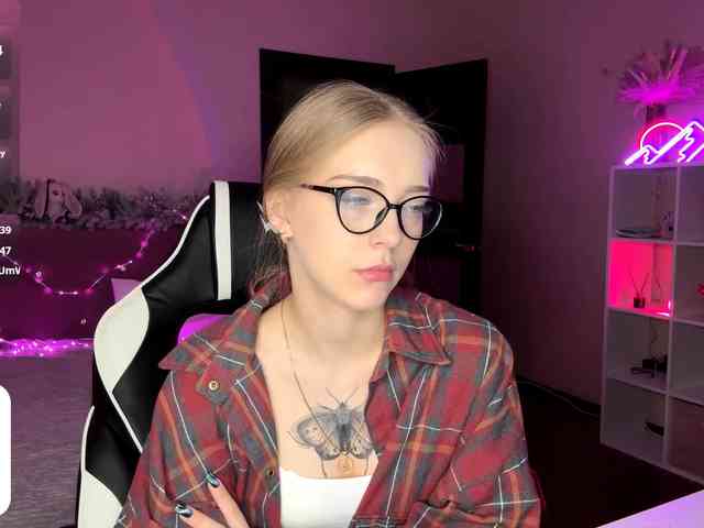 VersieBruegman webcam