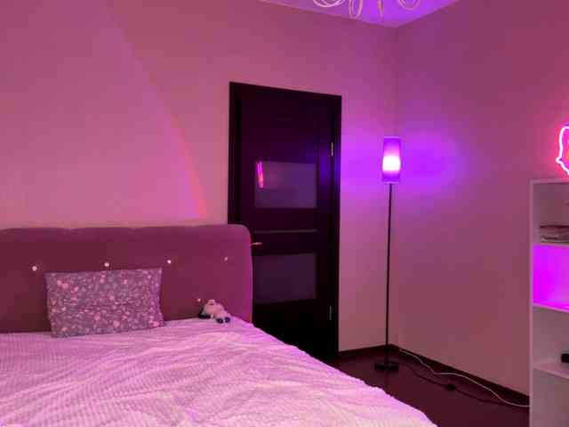 VersieBruegman webcam