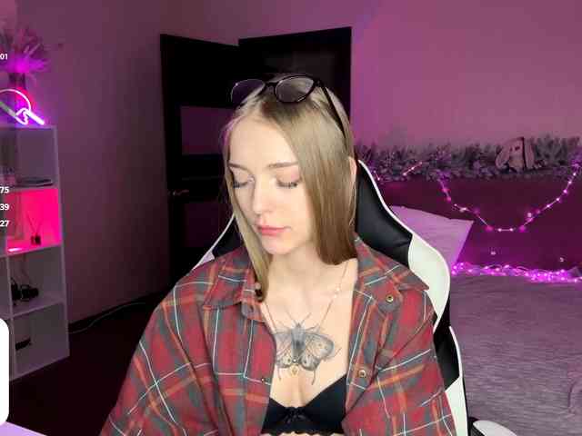 VersieBruegman webcam