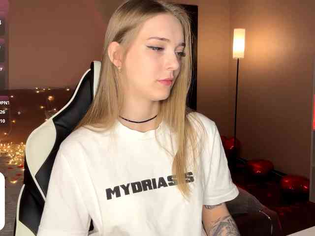 VersieBruegman webcam