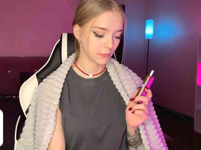 VersieBruegman webcam