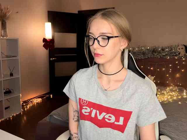 VersieBruegman webcam