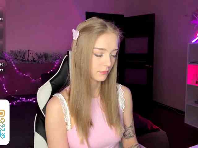 VersieBruegman webcam