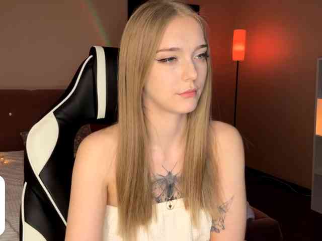 VersieBruegman webcam