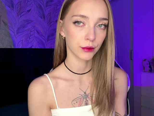 VersieBruegman webcam