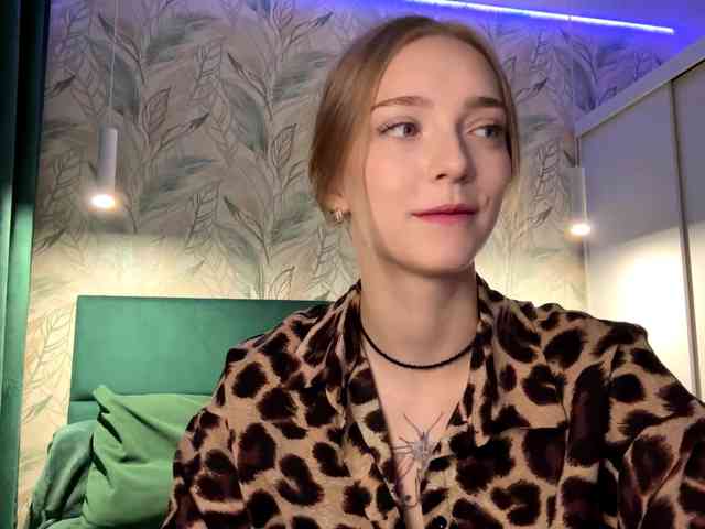 VersieBruegman webcam