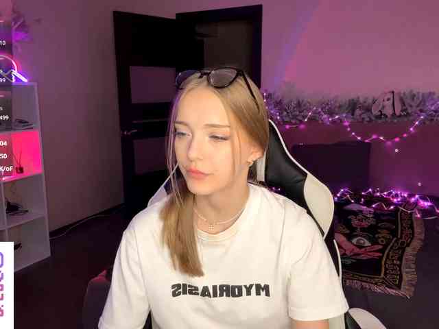 VersieBruegman webcam