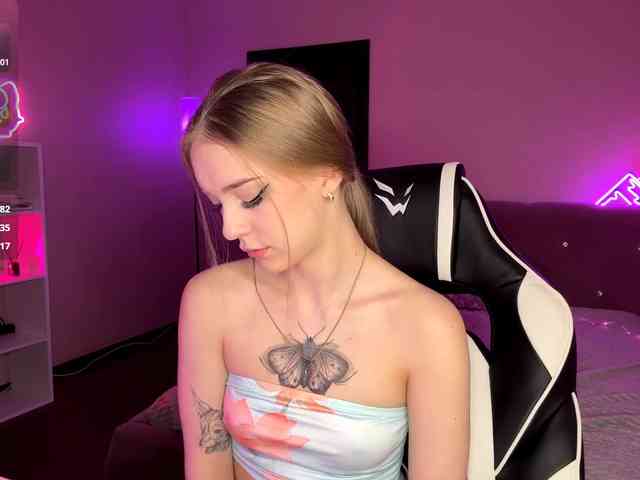 VersieBruegman webcam