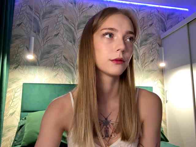 VersieBruegman webcam