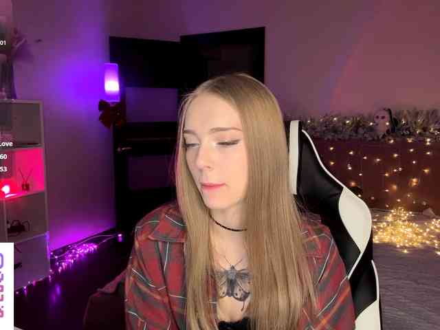 VersieBruegman webcam