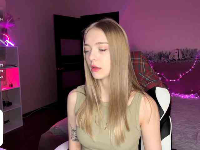 VersieBruegman webcam