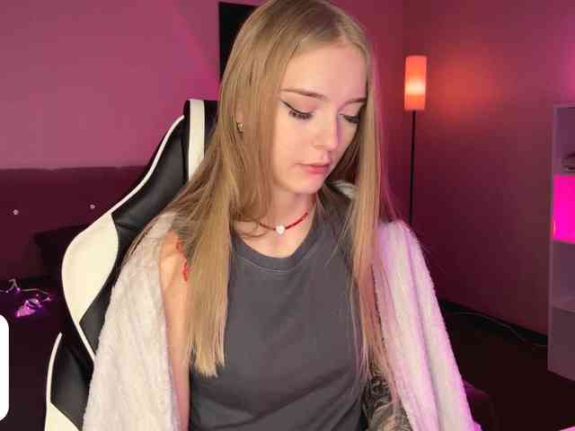 VersieBruegman webcam