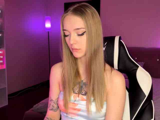 VersieBruegman webcam