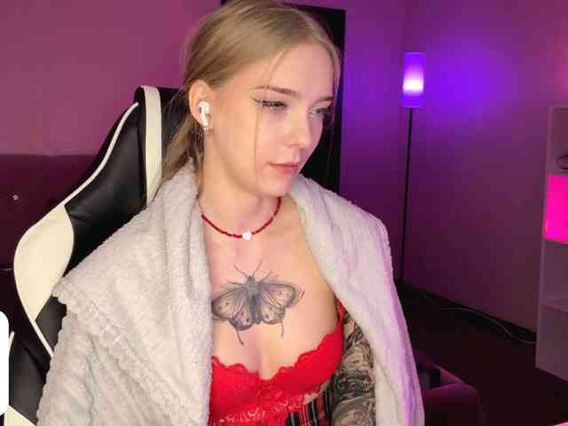 VersieBruegman webcam