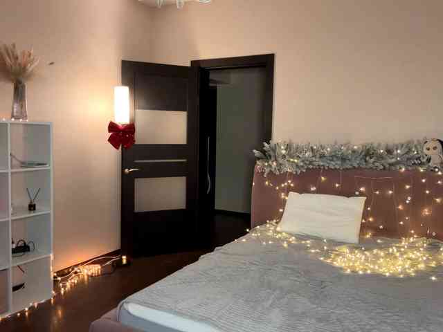 VersieBruegman webcam