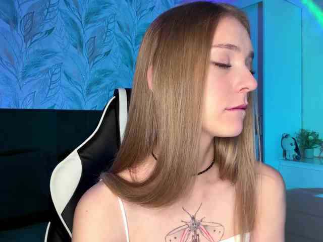 VersieBruegman webcam