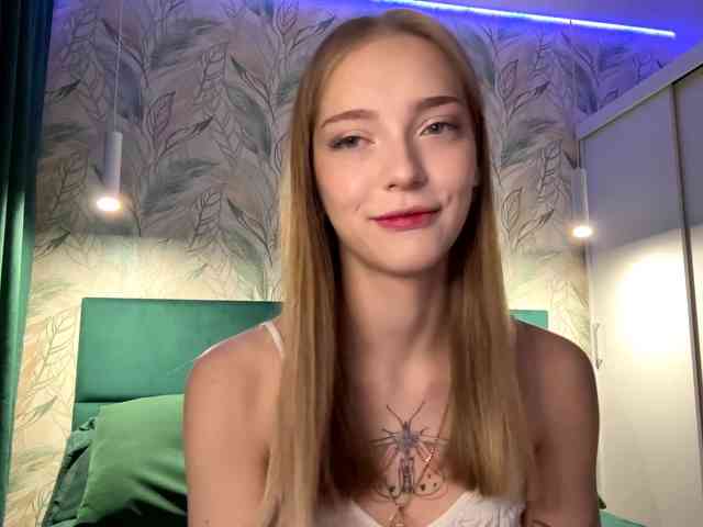 VersieBruegman webcam